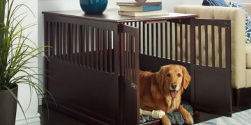 Select the Correct Dog Crate Furniture – The Essential Factors to Consider