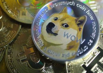 All You Need to Know About Doge Coin and What to Consider Before Investing