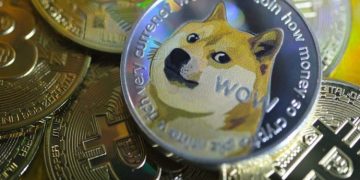 All You Need to Know About Doge Coin and What to Consider Before Investing