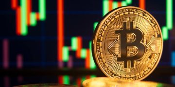 Future of Bitcoin Trading in Guadeloupe