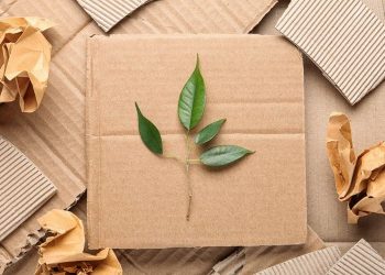 How Sustainable Packaging Can Improve Your Business