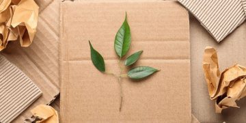 How Sustainable Packaging Can Improve Your Business
