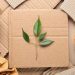 How Sustainable Packaging Can Improve Your Business