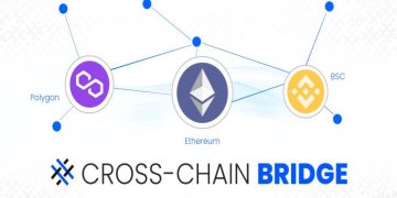 In 2022, what are the best cross-chain bridges?