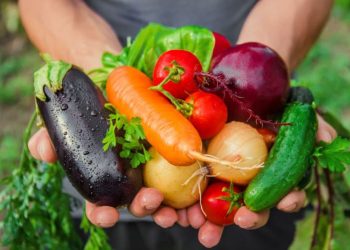 You Are What You Eat: 6 Benefits To Growing Your Own Vegetables
