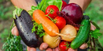 You Are What You Eat: 6 Benefits To Growing Your Own Vegetables