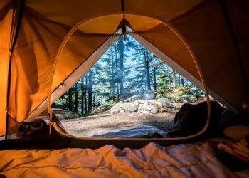5 Reasons Why It is Worth Camping