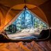 5 Reasons Why It is Worth Camping