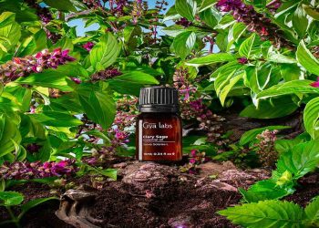 Amazing Benefits of Clary Sage Essential Oil