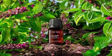 Amazing Benefits of Clary Sage Essential Oil