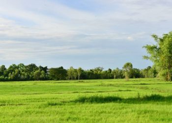 Step-By-Step Guide To Purchase A New Land In Texas