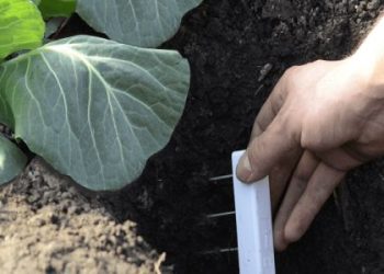 The Most Important Things You Need To Know About Soil Moisture Measurement