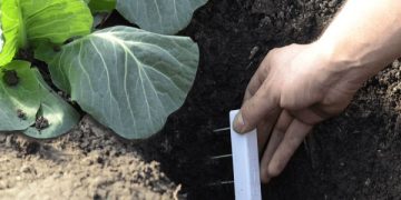 The Most Important Things You Need To Know About Soil Moisture Measurement
