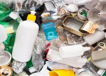 Waste Management Tips for Small Business