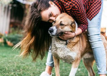 5 Ways to Take Care of Your Dog Not Many Dog owners Know