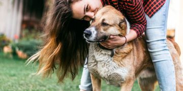 5 Ways to Take Care of Your Dog Not Many Dog owners Know