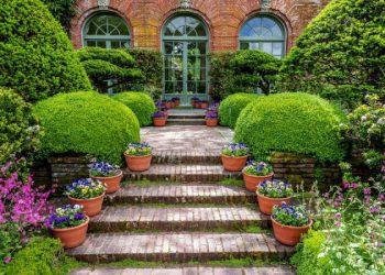 Best things to do in your garden