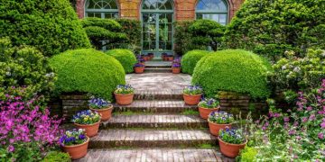 Best things to do in your garden