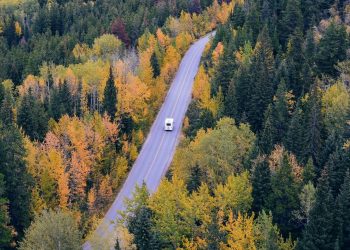 How Can Your RV Become a Salvage Title and What to Do with the Junk?