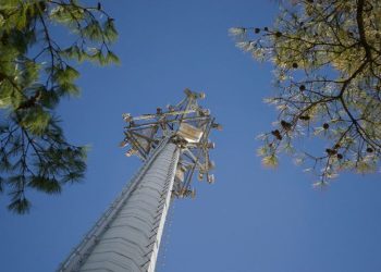 How do cell phone towers work? Let’s find out!