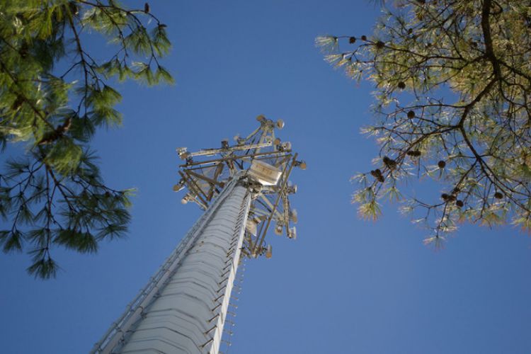 how-do-cell-phone-towers-work-let-s-find-out