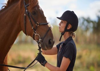 How to Find the Perfect Horse Riding Belt