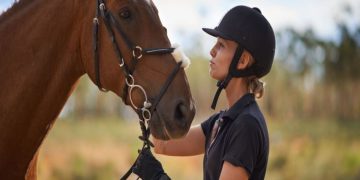 How to Find the Perfect Horse Riding Belt