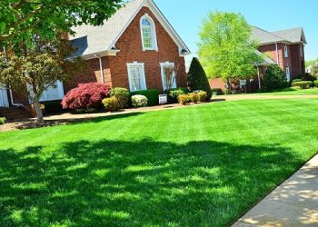 Taking Care of a Large Yard