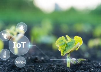 The Internet of Things as an Effective Way to Solve Various Problems in Agriculture