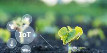 The Internet of Things as an Effective Way to Solve Various Problems in Agriculture