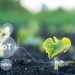 The Internet of Things as an Effective Way to Solve Various Problems in Agriculture