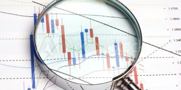 Forex Market Fluctuations and Top Brokers Contributions