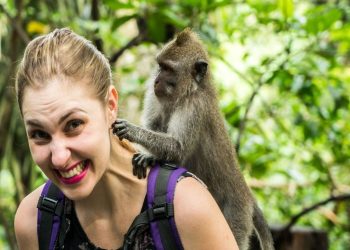 What Is It Like Having a Pet Monkey?