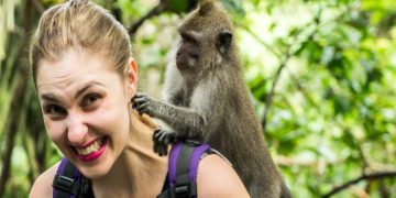 What Is It Like Having a Pet Monkey?