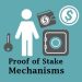 What are the different types of Proof of Stake Mechanisms?