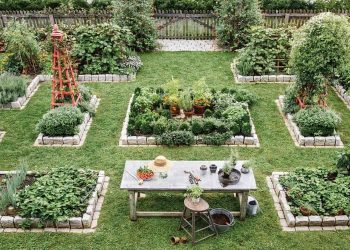A brief guide to making your garden as vibrant as possible