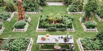 A brief guide to making your garden as vibrant as possible