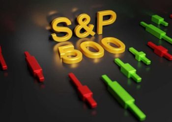 What are S&P 500 Companies