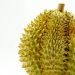 The Good Benefits of Eating Durian Fruit for Your Health