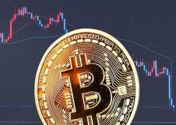 Adapting The Future for Cryptocurrency