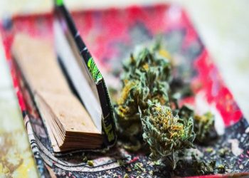 3 Must-Have Rolling Tray Essentials