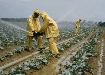 5 Reasons Why Agriculture is Important to Countries