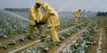 5 Reasons Why Agriculture is Important to Countries