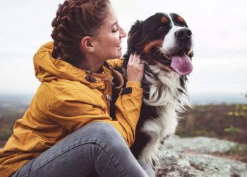 A Healthy Pet Is Like an Active Companion in Your Life–Understand the Relevance of Pet Care