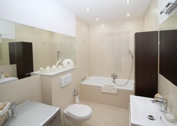 10 Amazing Big Bathroom Tips