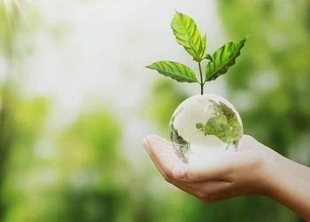 Victoria Gerrard La Crosse Discusses How to Incorporate Environmentalism Into Your Retirement Planning