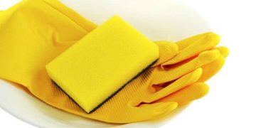 Mold in Your Florida Home: What You Need to Know