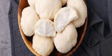 Lion’s Mane: What is it, and what does it do?
