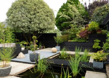 5 Steps for a Full Garden Renovation
