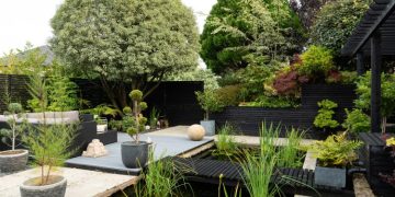 5 Steps for a Full Garden Renovation